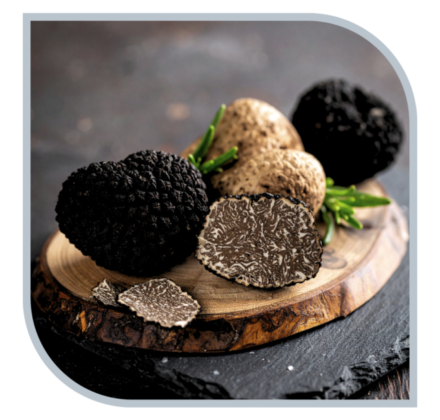 ilrifugiodeicastagni